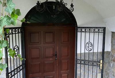 Vilă de Lux pe Malul Lacului Snagov – Ponton, Cramă, Garaj Barcă – Teren 1800mp - 2