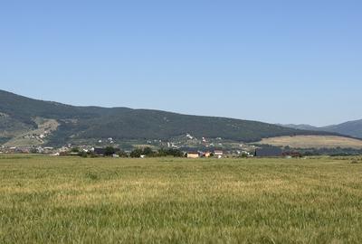 Teren Extravilan | 11.100 MP | 32M Deschidere| Orizont-Bărăbanț | OPORTUNITATE | - 1