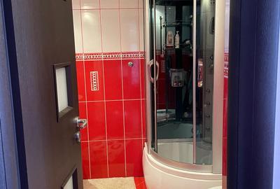 Casa 8 Camere Snagov - 9