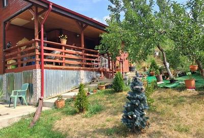 Casă individuală cu 2 camere în Surani