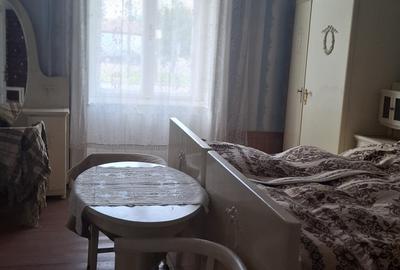 Proprietate rară în Nădlac – Casa ultracentral 7 camere - 20