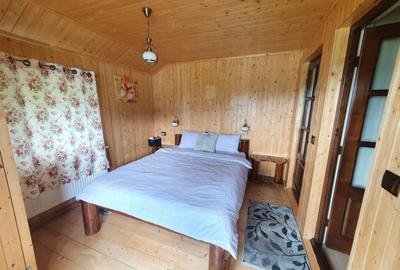 Cabana cu accesc la lac, 1400mp teren Colibita - 10