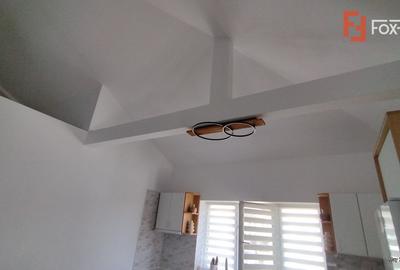 Casa individuala cu 4 camere, Sacalaz - Pivnita la demisol cu 5 incaperi - 12