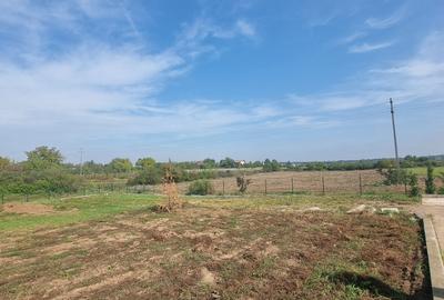 Industrial PARK for Sale – 4 Warehouses with Land, Near Bucharest (INTRAVILAN) - 18