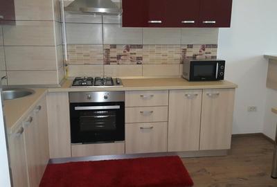 Inchiriere apartament zona Universitate, campus - 4
