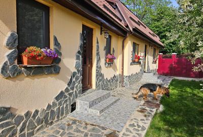 Vand casa 3 camere ARIUSD - 10