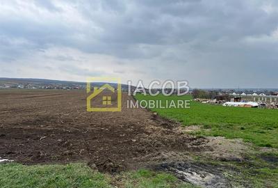 Teren intravilan cu suprafata de 1907 mp, varianta Margineni Hemeiuș, Bacau - 6