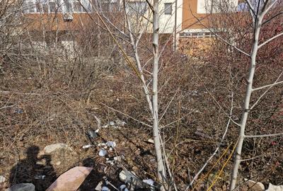 Teren Padurea Craiului - 520mp - 1