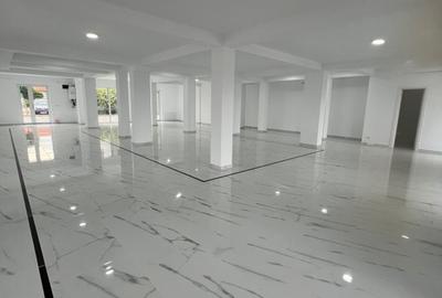 Spațiu comercial | Dumbrăvița Nord | - 1