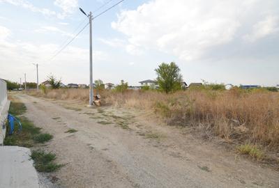 Teren Intravilan Dragomiresti -Deal | Localizare Excelenta - 10