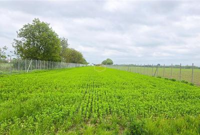 Teren 3.600 m² in Odoreu | 7 km de Satu Mare | 160 m de Principala - 9