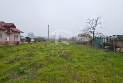 Teren intravilan de vânzare – Ciorogârla, Ilfov - 3