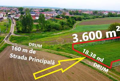 Teren 3.600 m² in Odoreu | 7 km de Satu Mare | 160 m de Principala - 1
