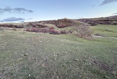 Teren Intravilan cu panorama în Borhanci Str Colonia Sopor 1000mp+85mp cota drum - 5