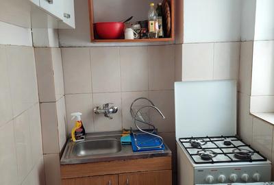 Nitu Vasile - Apartament 2 camere Decomandat - 4