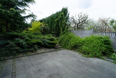 Spațiu de Birou I 100 Mp I Grădină + Boxă I Semicentral - 13