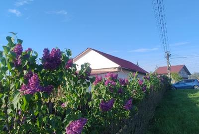 Casă de vânzare în Cucorăni - 6