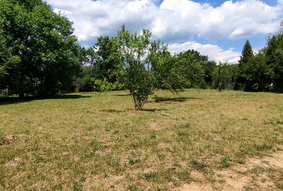 Comarnic(Ph) – doua terenuri cu toate utilitatile, asfalt, padure - 2