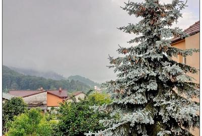 Vanzare Casa Str Lunga Carierei - 4