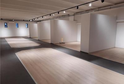 Spatiu Comercial, 1000 mp, Targu Mures - 24