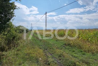 Comision 0%  Oportunitate investitie 28000 mp in Sura Mica Sibiu - 6
