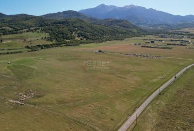 Teren extravilan Rasnov - 11