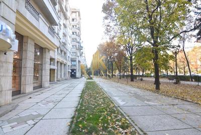 Apartament decomandat de inchiriat cu 2 camere  in Unirii - 14