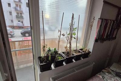 Apartament o camera în zona INTRE LACURI - 5