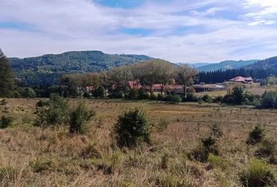 Teren in zona Bradet-Sacele - 1