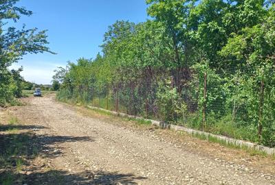 Săbăreni, lot de casă 500 mp, curent lângă teren - 4