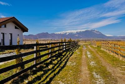 Teren intravilan Râșnov – Glejerie  5 parcele x 1000 mp  Capăt Str. Greierilor - 11