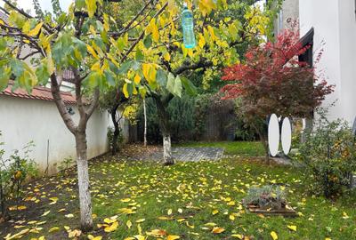 Spațiu pentru birouri in vila recent renovata cu arhitectura veche in Dorobanti - 14