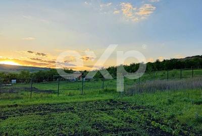 Teren intravilan 2500 mp, Valea Fanatelor, Cluj - 0% COMISION! - 7