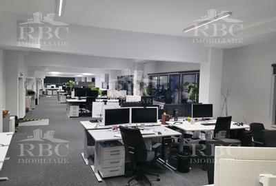 Birou, 800 mp în Iris
