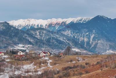 Teren Construcții intravilan de 4500 mp, în Tohanu Nou