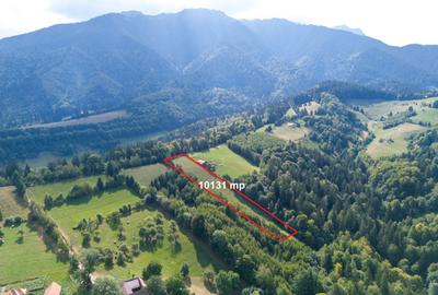 Comision0% Investitie turistica unica - Bran Sohodol 10131mp-Via Transilvanica - 8