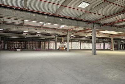 Spatiu Industrial - 9500 mp - Logistica - Productie - Depozitare - Distributie - 10