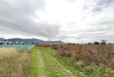 Teren Intravilan Tractoru - 3