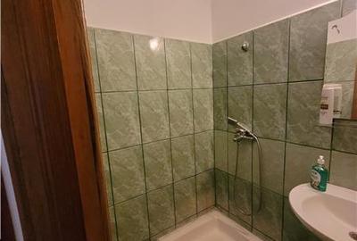 Pensiune cu Aspect Specific Maramuresean, Agigea - 16
