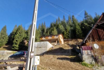 Eco Retreat Land in Apuseni Romania - Poiana Horea - 20