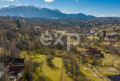 Teren cu priveliste panoramica in Sohodol – Bran - 5