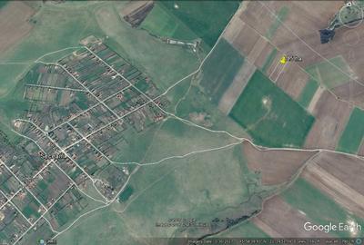Timisoara Ortisoara-tere agricol  4 hectare comasat - 4
