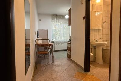 Garsoniera spatioasa, zona linistita, 10 min metrou Gorjului - 5