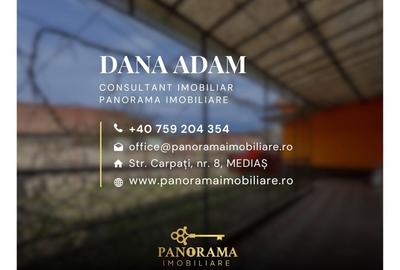 Casă de vânzare Șeica Mare. Liniște, aer curat în inima Transilvaniei - 20