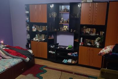 Vand vila situata in sat Plopsoru, comuna Daia - 6