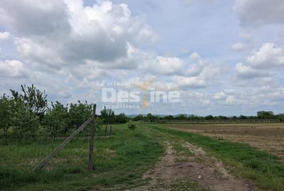 Teren Extravilan de Vânzare – Mărăcineni, Sat Argeșelu - 3