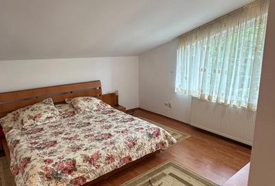 Vila individuala 6 dormitoare Iancu Nicolae/Serban Cantacuzino - 12