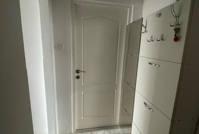 Apartament cu 1 camera, PET FRIENDLY, zona Pacurari - 3
