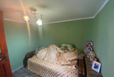 Iaz, Casa la Curete, 9 Camere, Teren 2892 Mp - 29