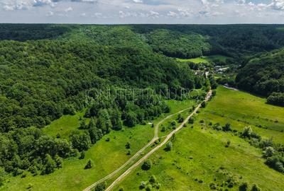 Teren Pasune + Arabil - Valea Mare Podgoria Arges - 19